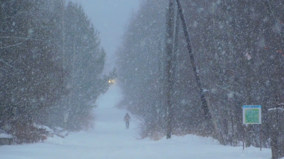 20 марта в Вологодской области прогнозируют мокрый снег, туман и потепление до +9 градусов