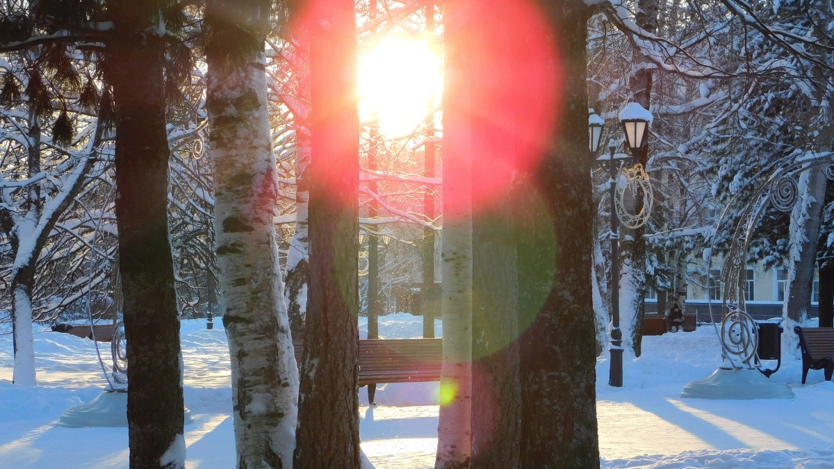 Потепление до +13 градусов и солнечная погода ожидаются в Вологодской области 22 марта перед сменой атмосферных фронтов