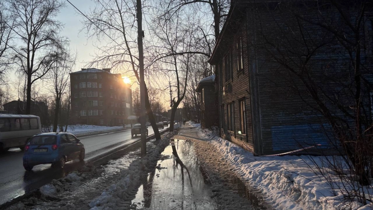 Погода в Вологодской области 2 апреля: синоптики прогнозируют туман и тепло до 18 градусов