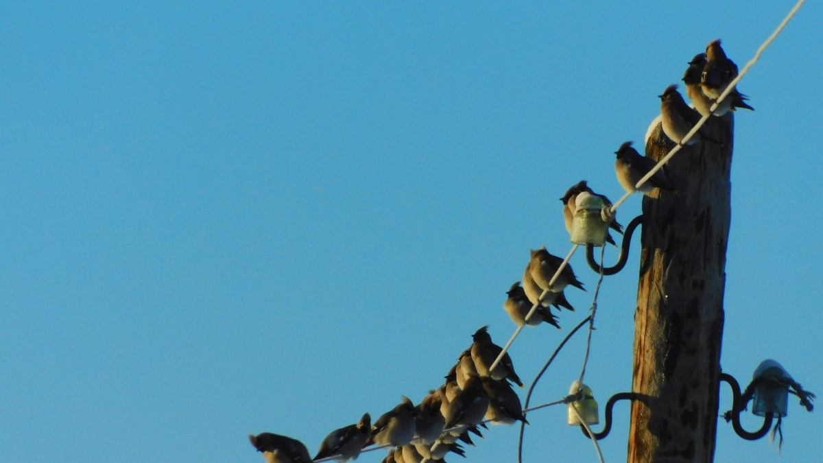 Прогноз погоды в Вологодской области на 6 апреля: синоптики обещают дожди и потепление до 13 градусов
