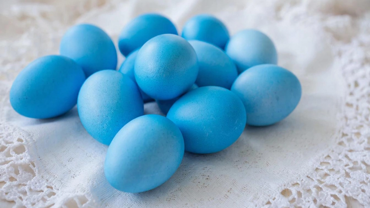 Метод из прошлого окрасит яйца в красивый голубой цвет: горсть «славянской» травы и скорлупки получатся реально небесного оттенка