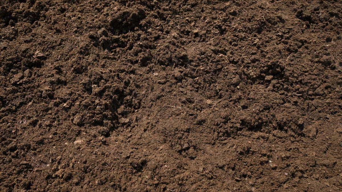 Мусор, который реально работает намного лучше навоза: надо просто приготовить домашний ускоритель компоста