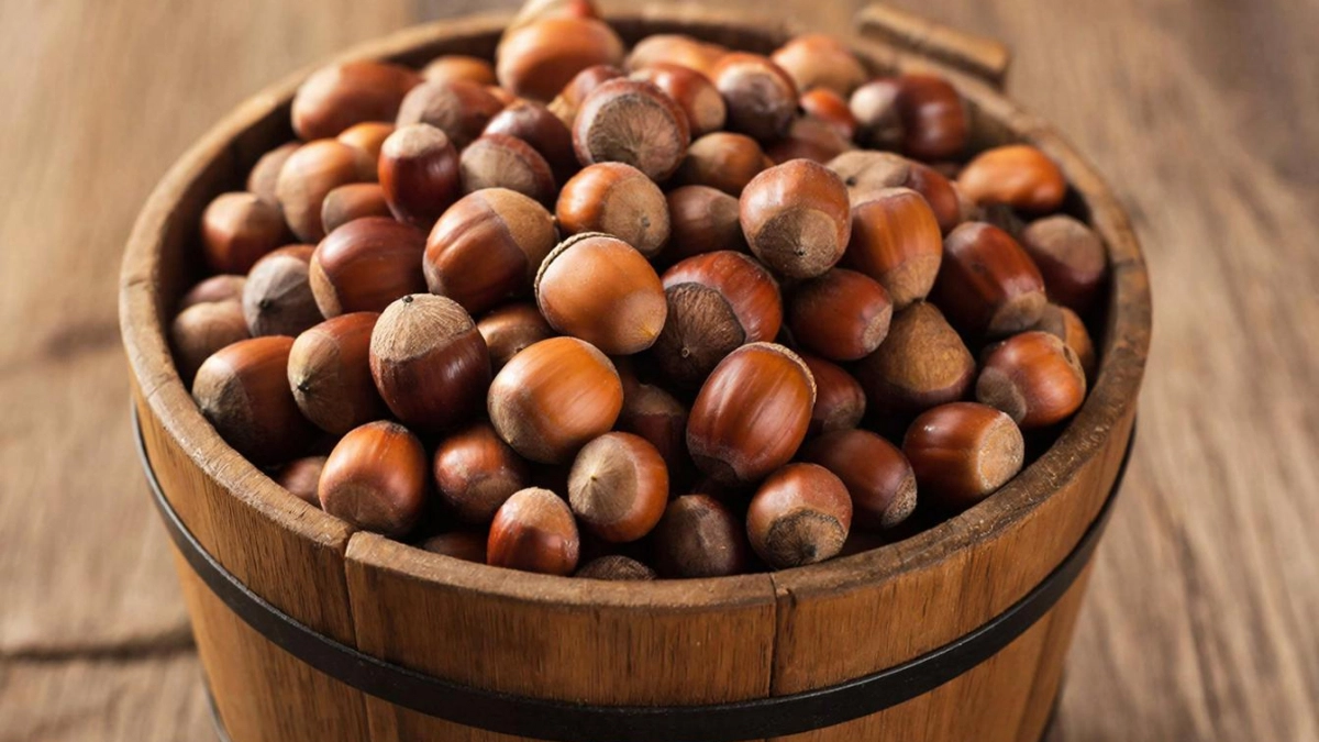 Соседи крутят пальцем у виска, а я тащу ведра из леса: вот почему шишки и желуди — реальное золото для огорода