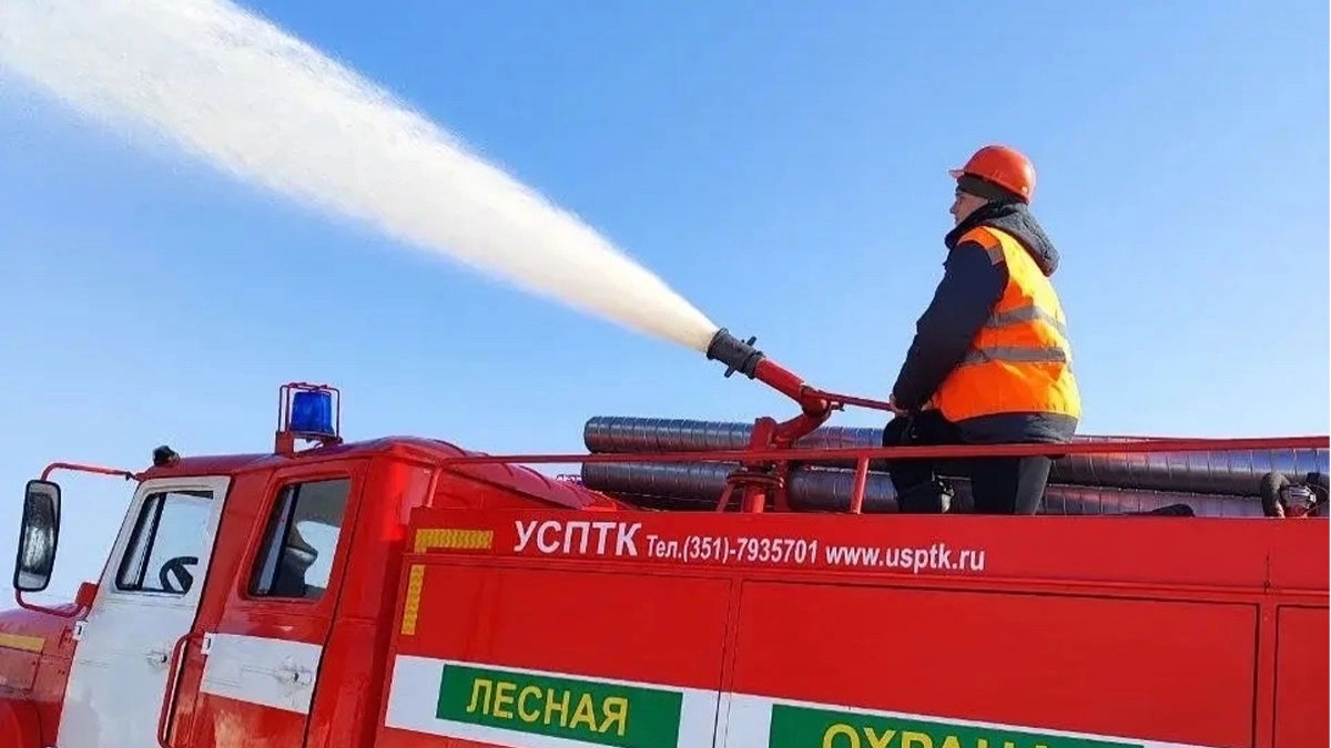 От 55 тысяч рублей и выше: специалисты Вологодской области из сферы лесной охраны получили финансовые гарантии от главы региона