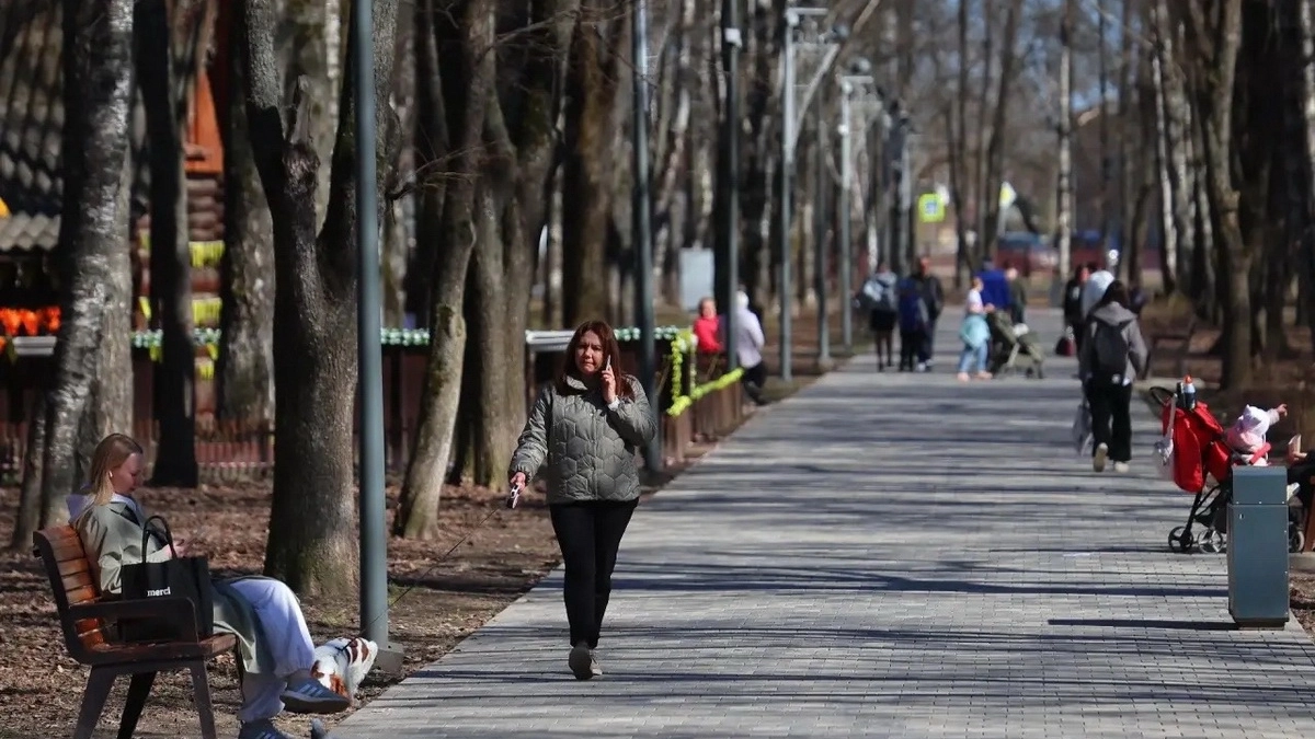 В парке Ветеранов в Вологде установят колесо обозрения высотой 40 метров