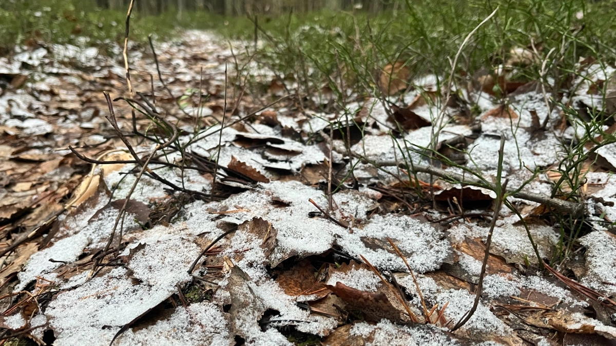 Синоптики предупредили о резком ухудшении погоды в Вологодской области 23 апреля 