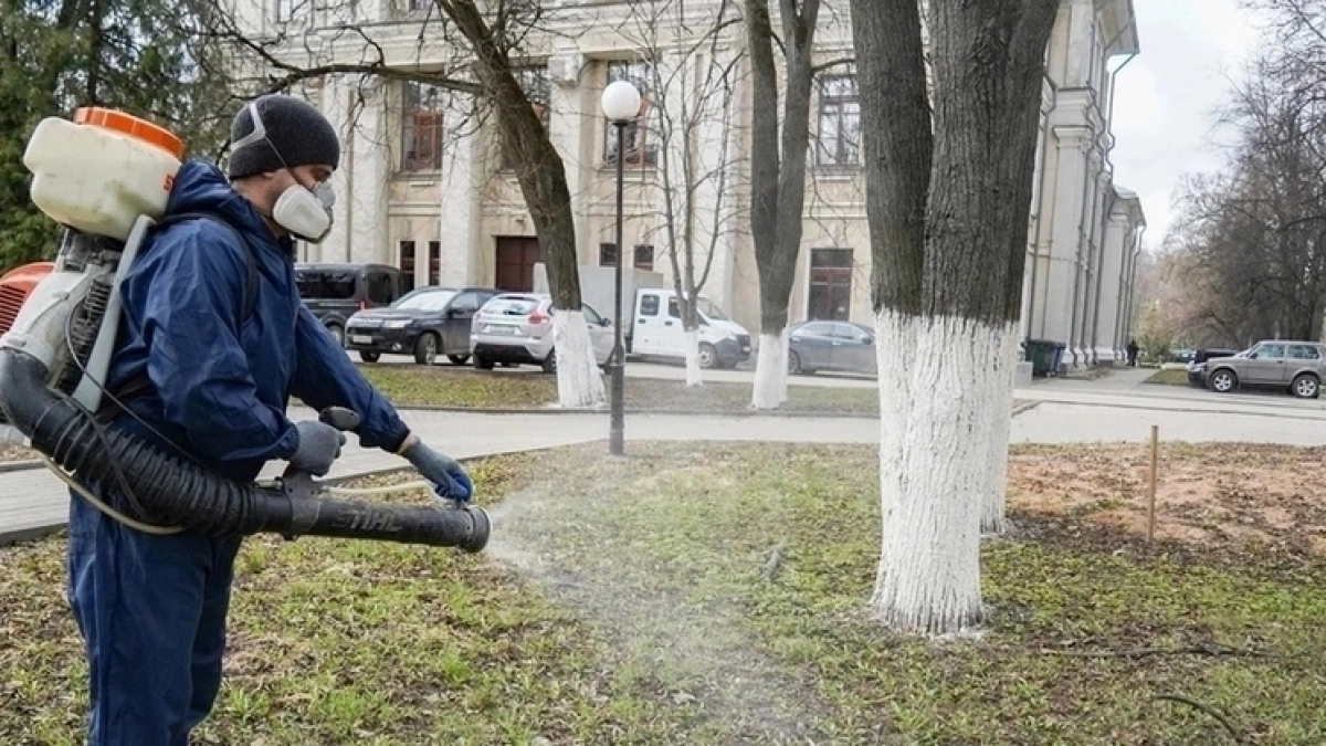 В Вологде стартовала масштабная дезинсекция более 160 территорий от клещей до конца сентября