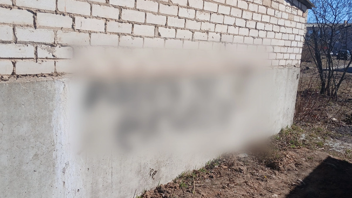 Жительницу Вологды задержали после появления десятков граффити с рекламой наркомаркетов
