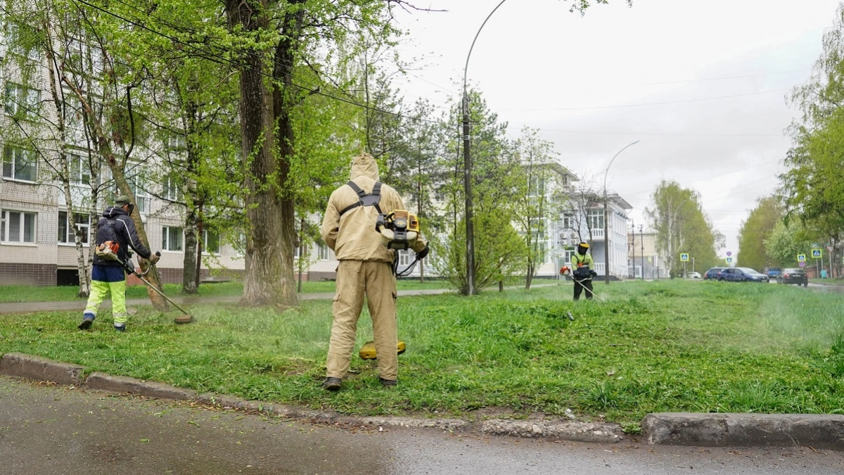 В Вологде начали сезон покосов раньше срока: 600 гектаров под контролем мэра
