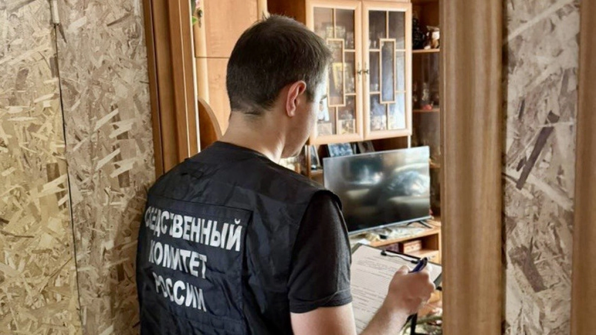 В Вологодской области пьяный пенсионер зарезал сожительницу и ранил соседа