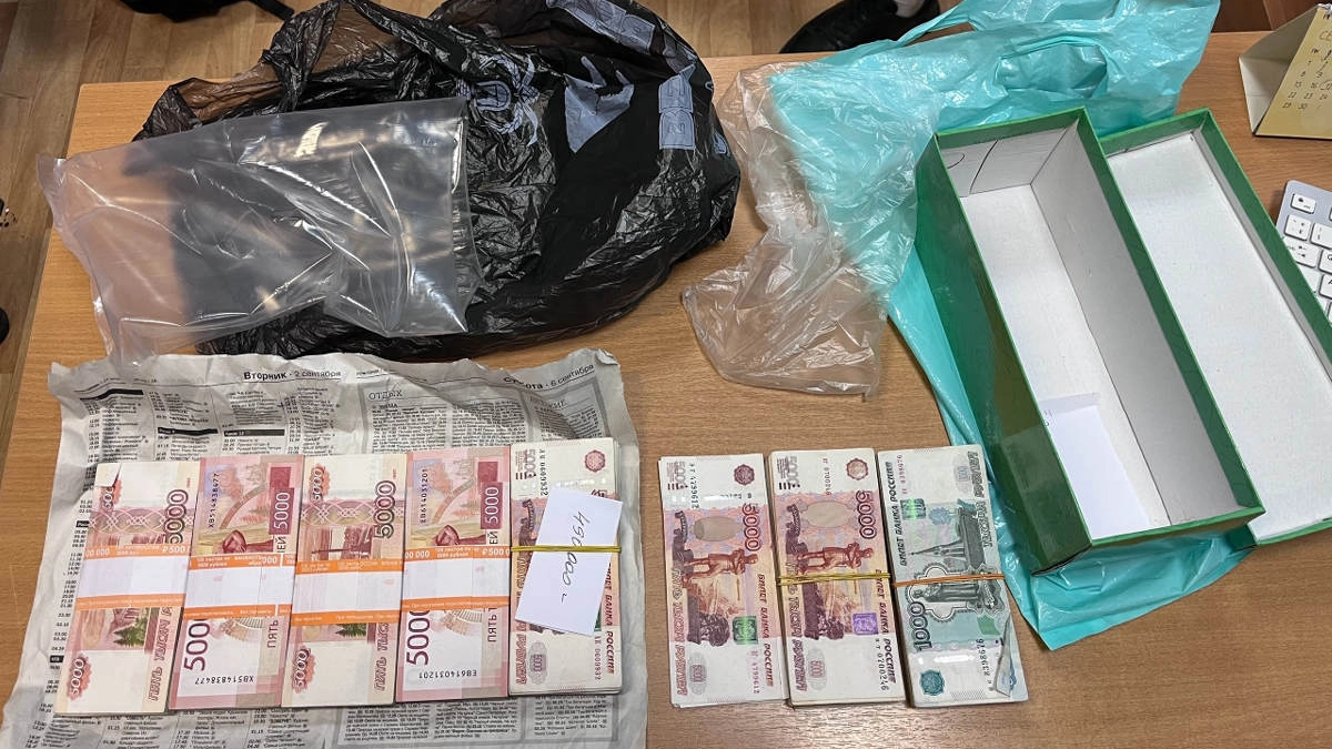 В Вологодской области впервые будут судить трёх членов ОПГ дистанционных мошенников