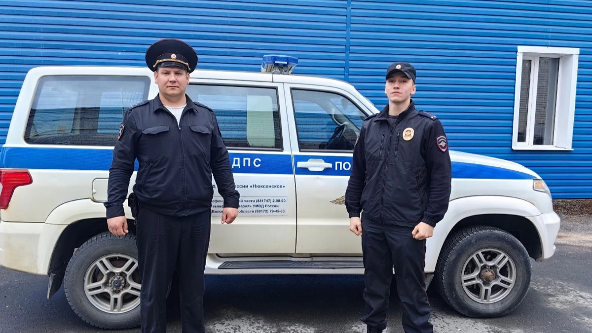 Полицейские в Вологодской области выручили гостей из Архангельска, застрявших в лесу