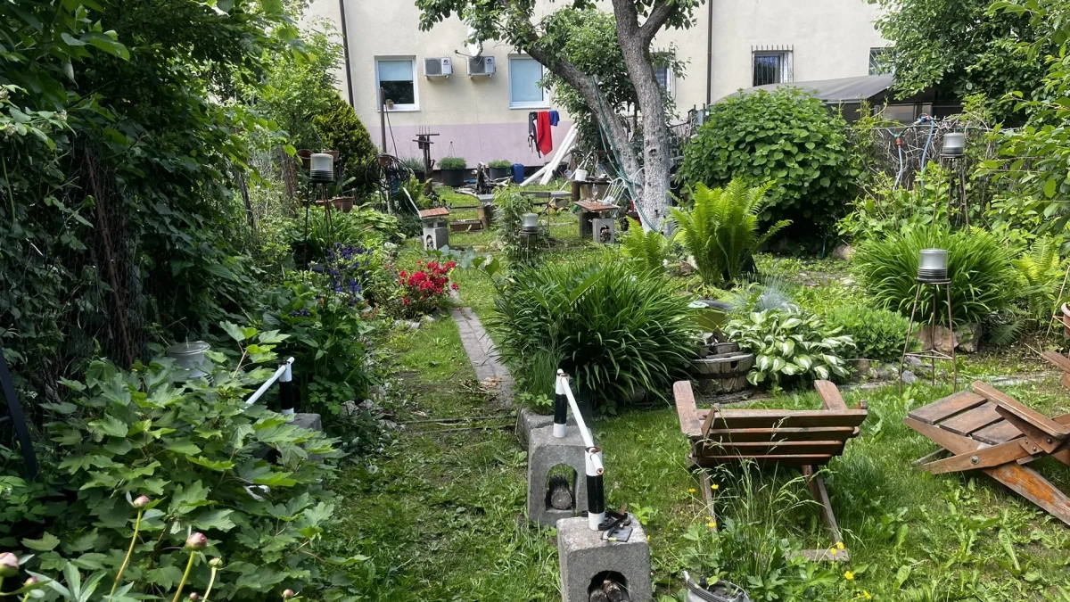 Если будете грабить лук - большой репки не будет. От чего же зависит величина репки