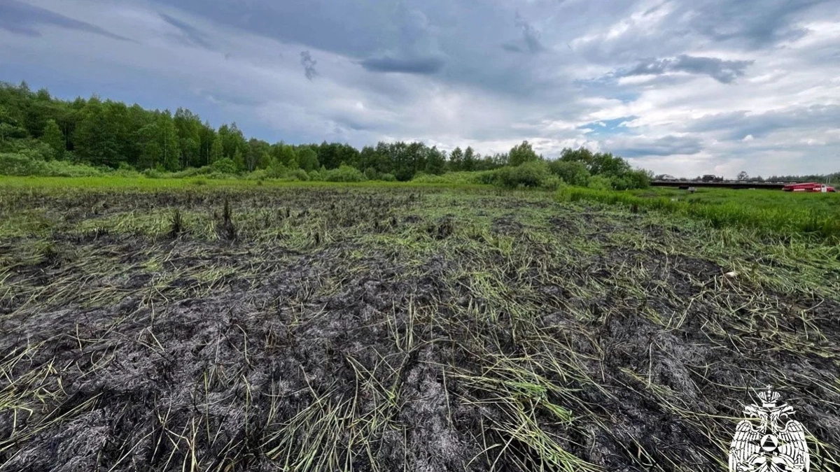 В Вологодской области ликвидировали крупное возгорание сухой травы