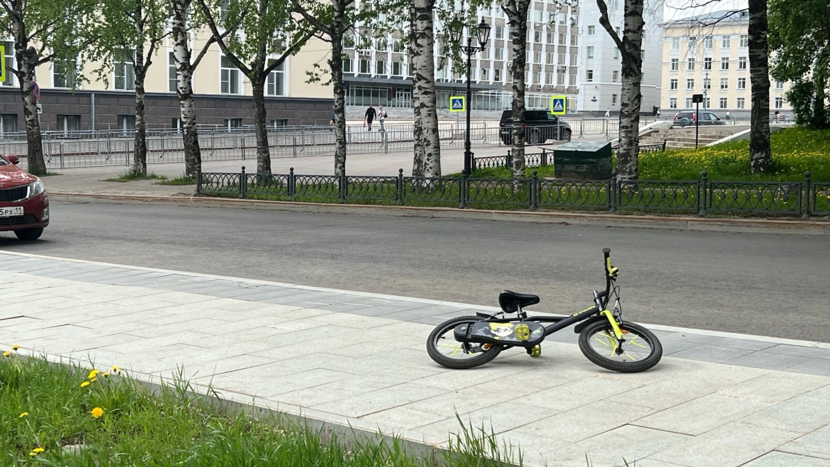 Грозы и ливни обрушатся на Вологодскую область 25 июня: точный прогноз погоды