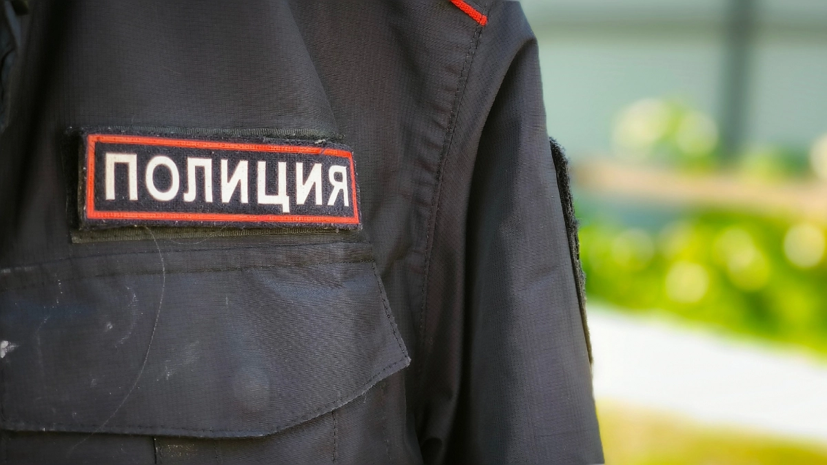 Вологжанин вынес технику из незапертой квартиры спящей соседки