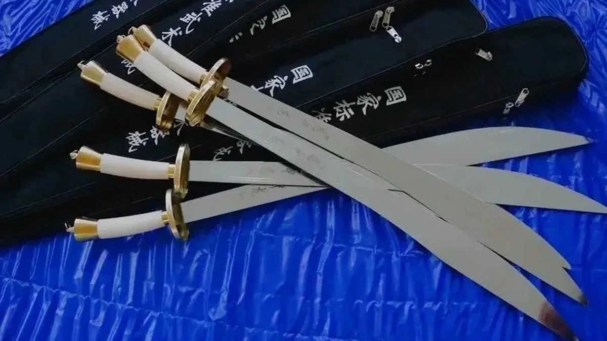 Еще 20 школ Вологодской области получили инвентарь для занятий ушу