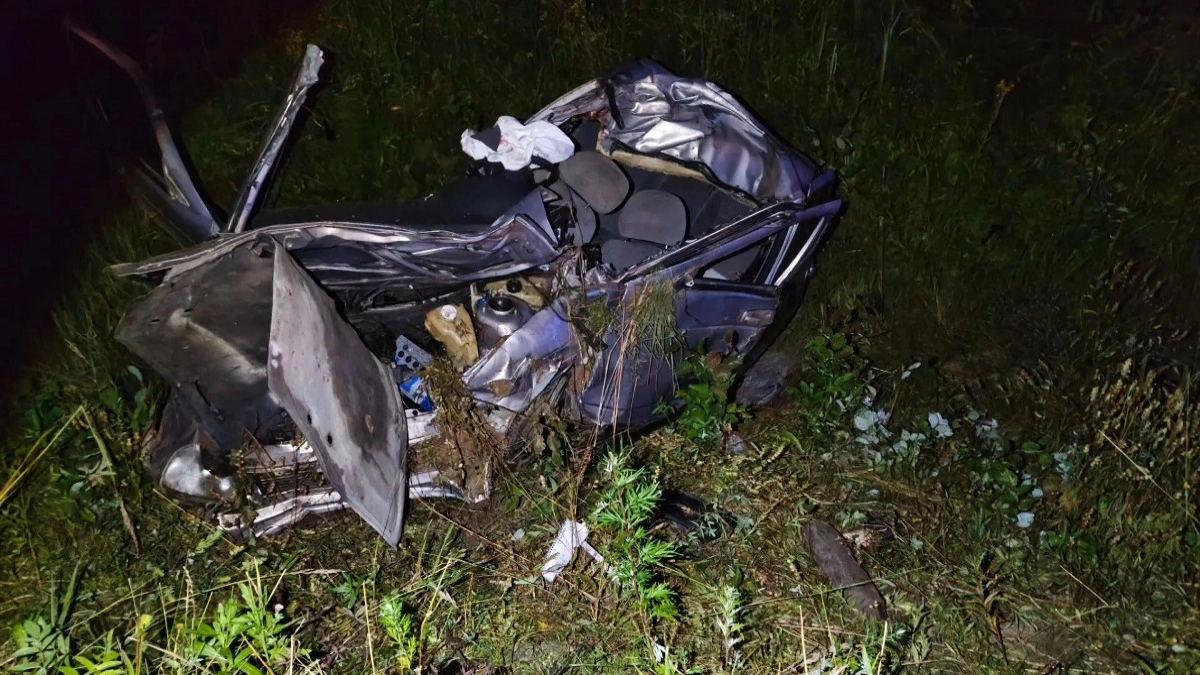 В Вологодской области на трассе в ДТП с лосем погиб 17-летний юноша