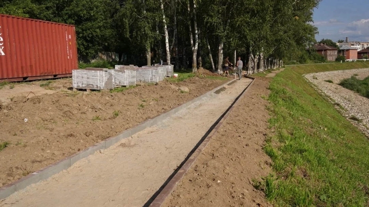 В Вологде благоустроят берёзовую рощу на набережной 6-й Армии