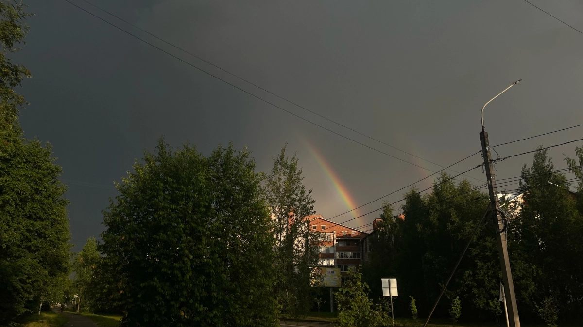 На Вологодскую область надвигается мощный циклон с ливнями