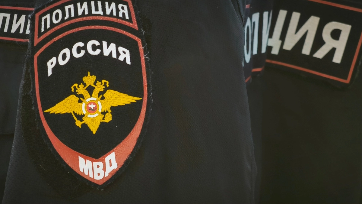Попытка заказать услуги интимного характера обошлась вологжанину в 131 тысячу