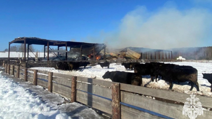 В Вологодской области из-за сварочных работ сгорело 150 тонн сена