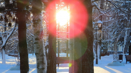 В Вологодскую область пришло аномальное тепло: синоптики обновили прогнозы на 19 марта 