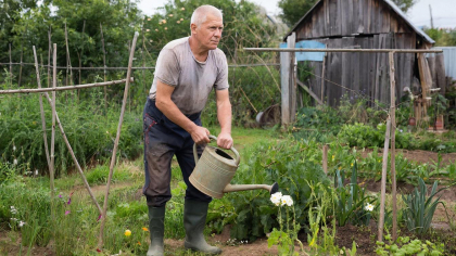 Никогда не выливаю воду из-под хозяйственного мыла — поливаю ими грядки: совет для всех дачников на миллион